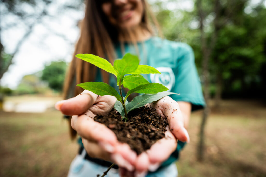 close up of a woman holding sprout young plant outdoors